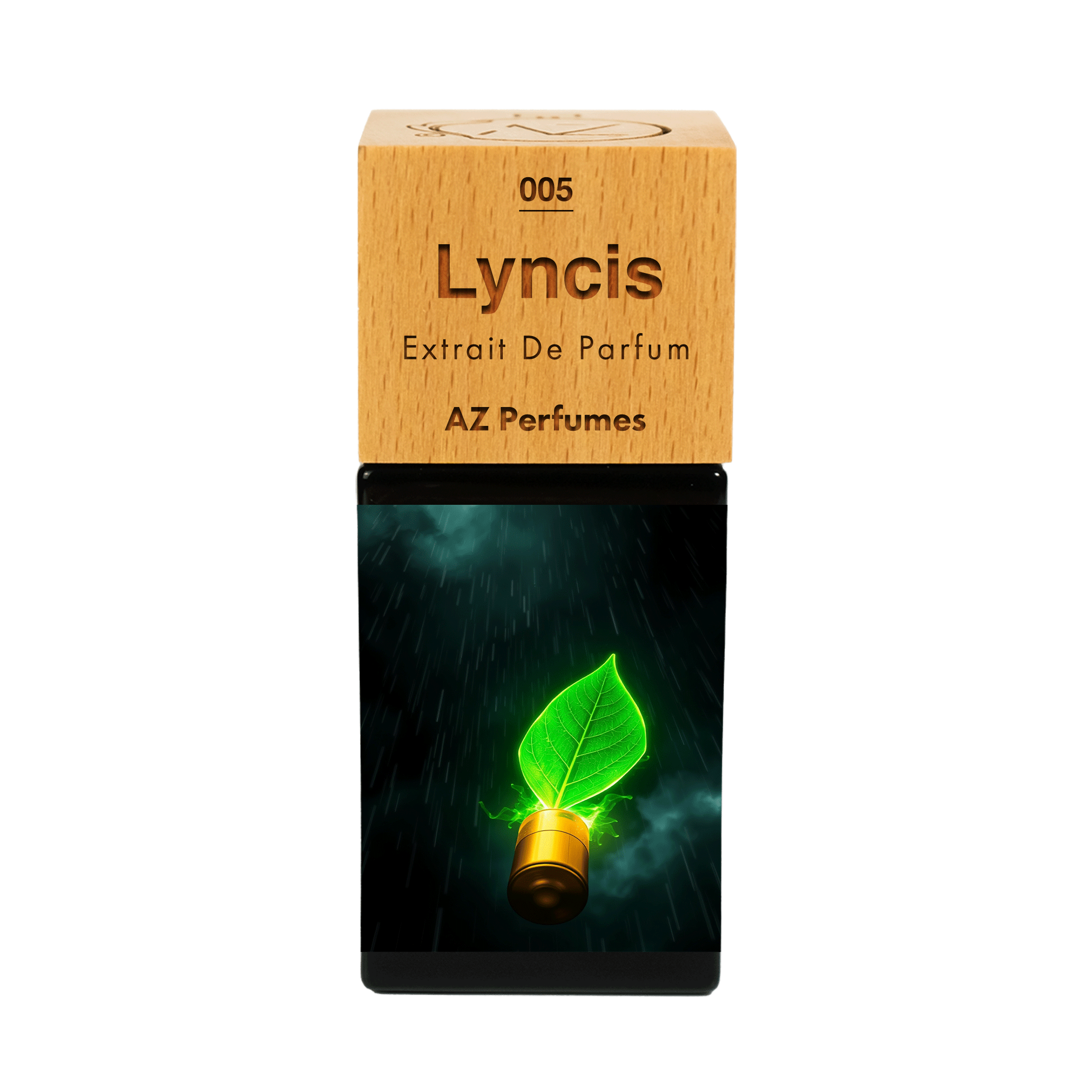 lyncis-n-05
