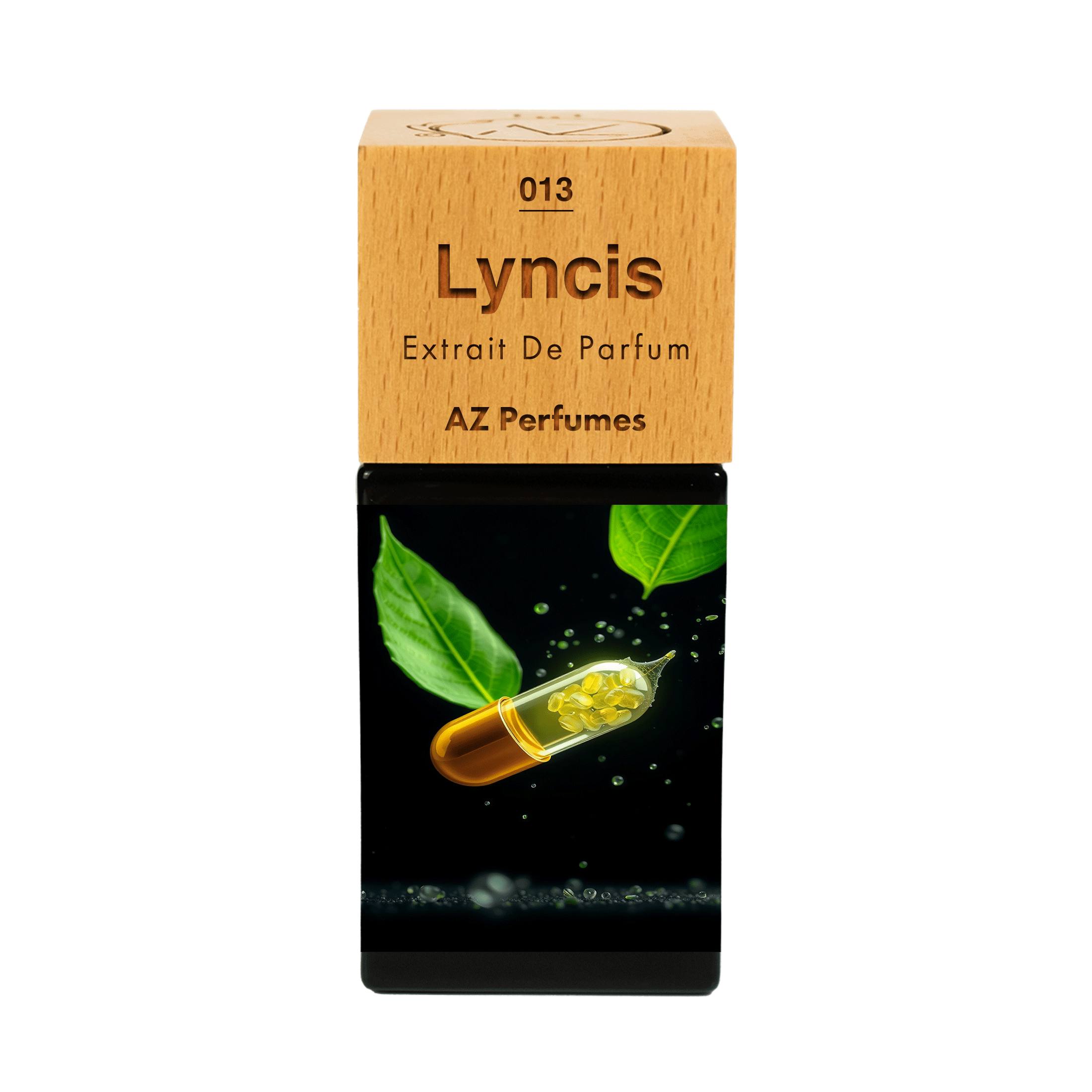lyncis-n-13
