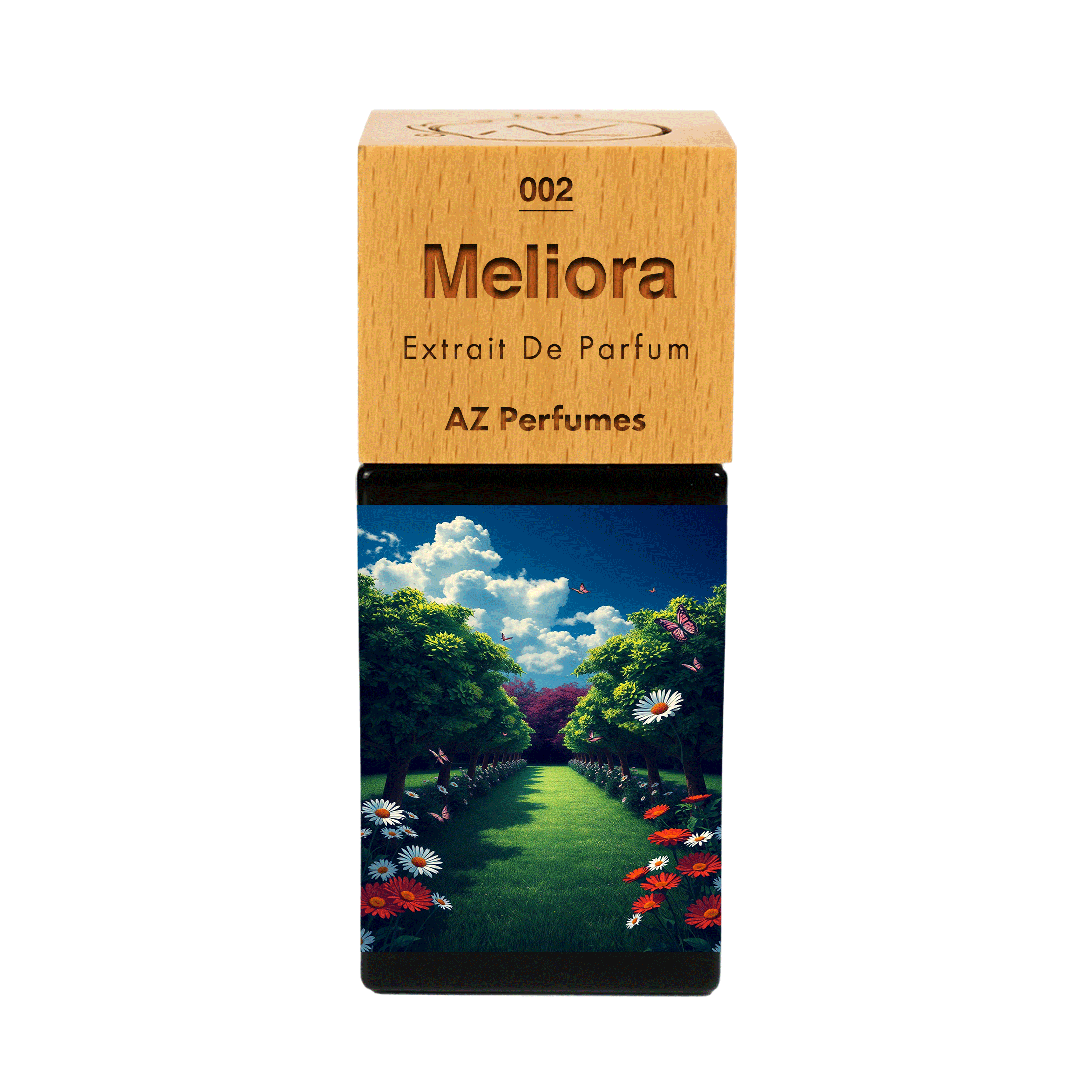 meliora-n-02