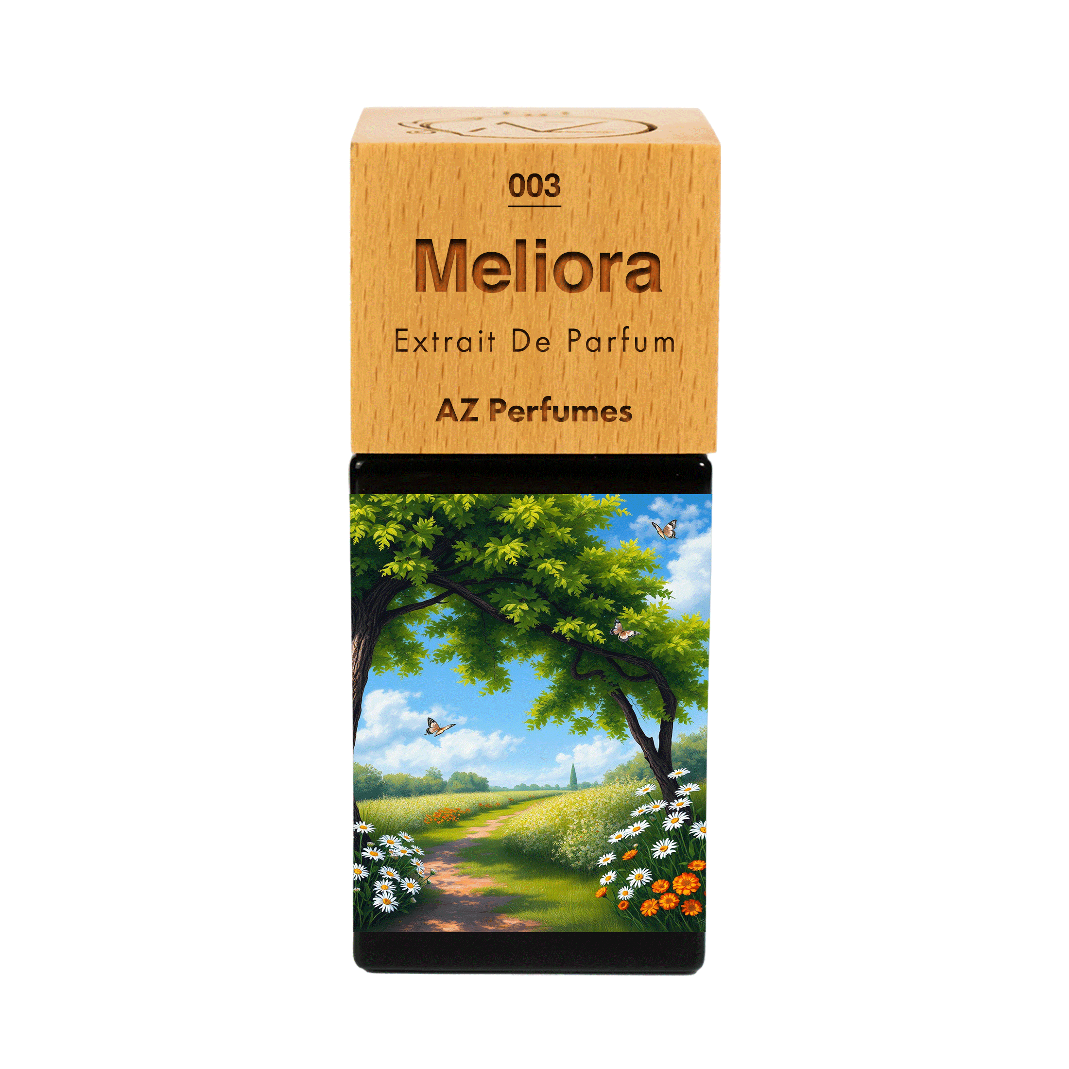 meliora-n-03