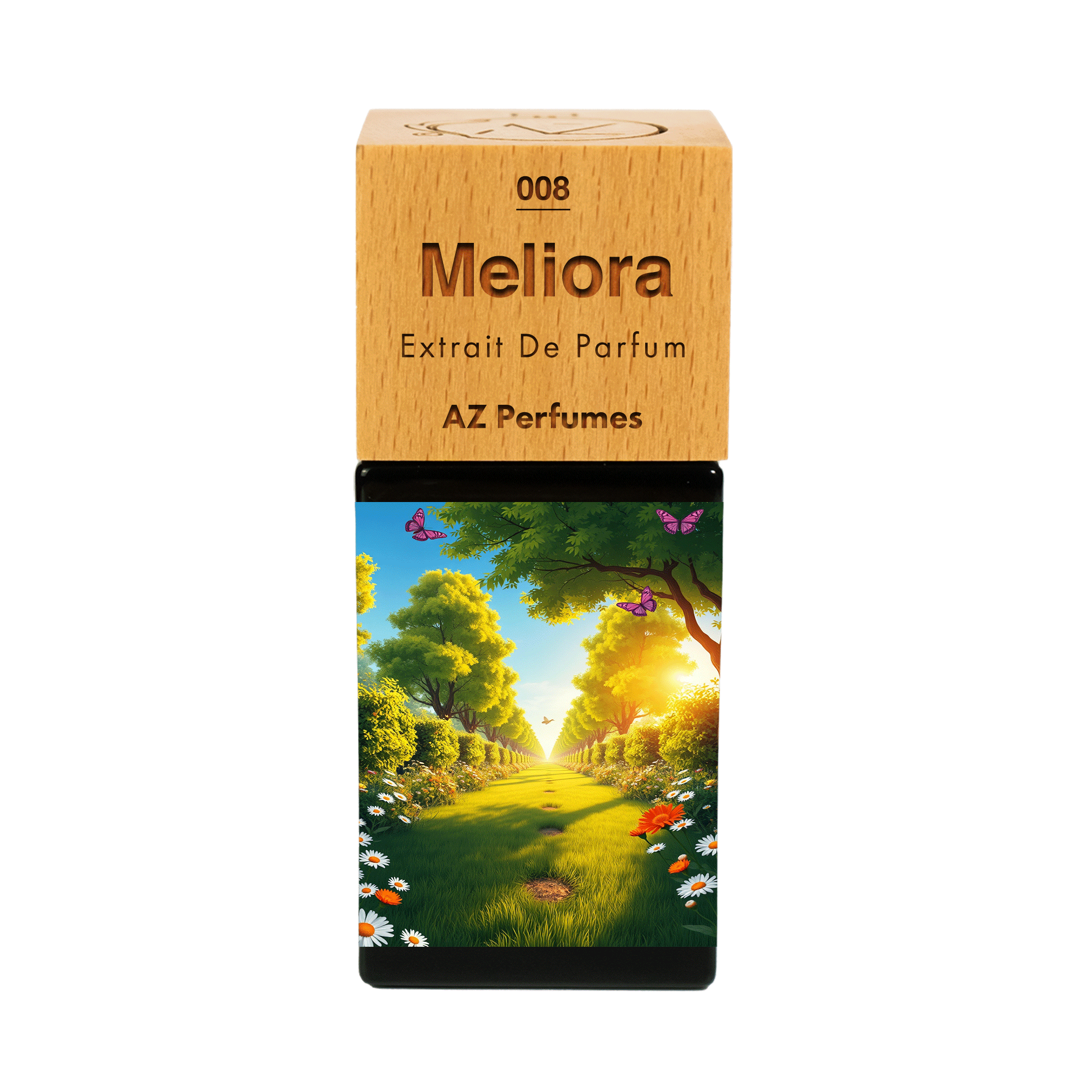meliora-n-08