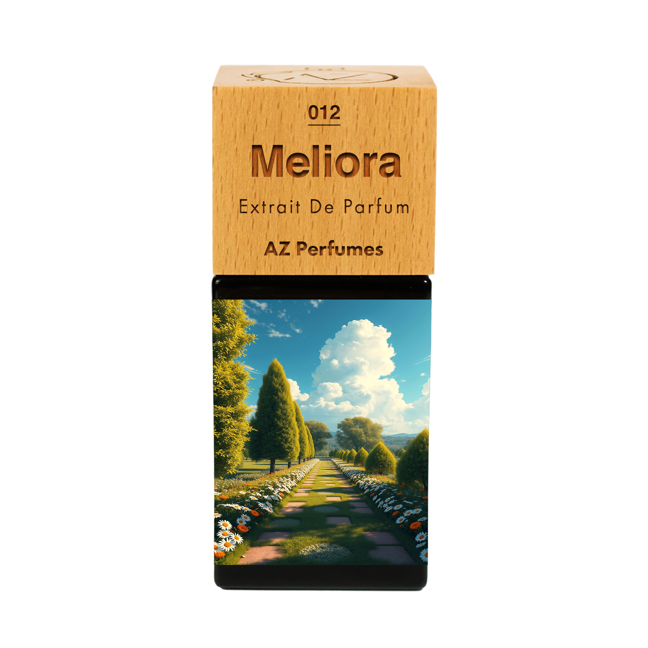 meliora-n-12
