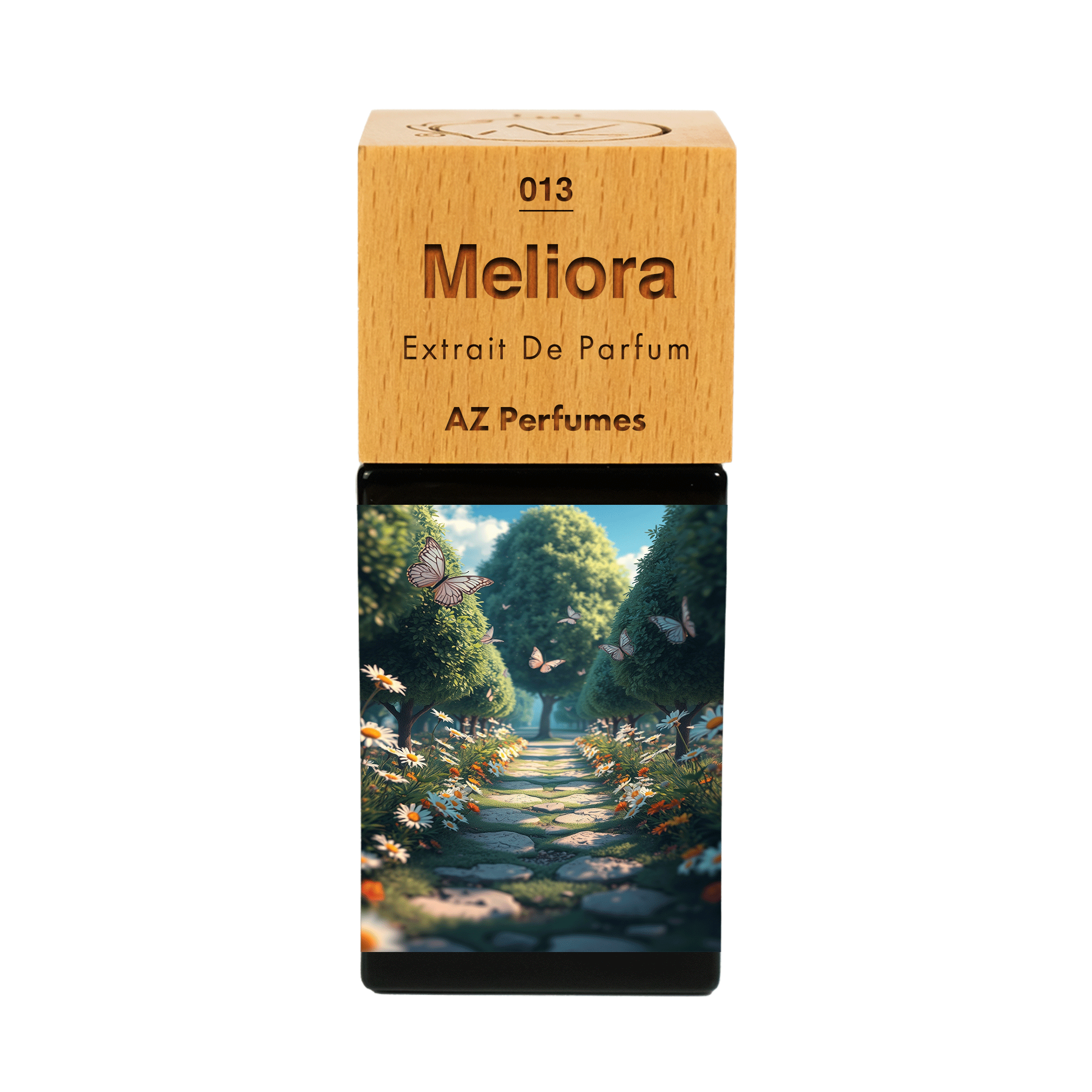 meliora-n-13