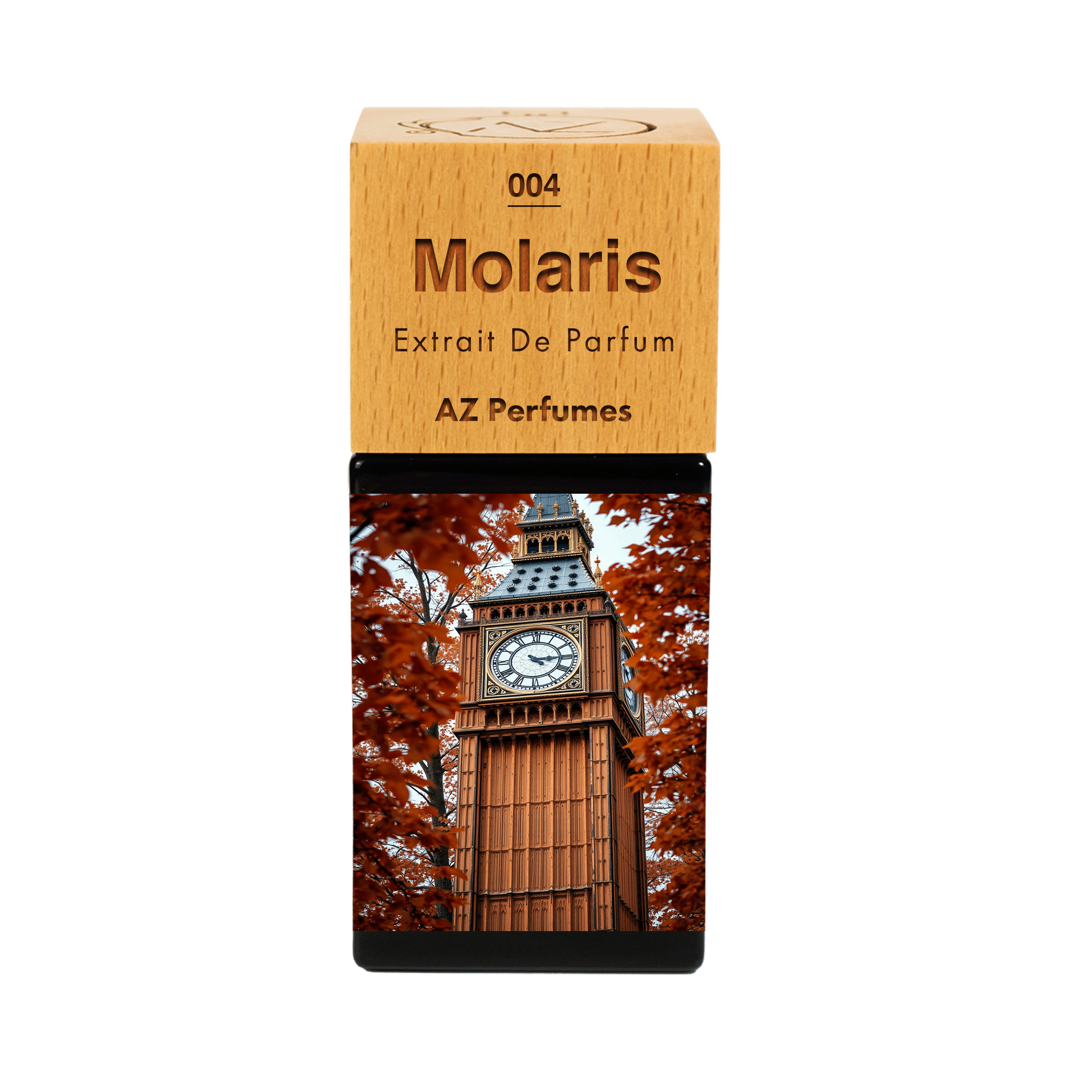 molaris-n-04