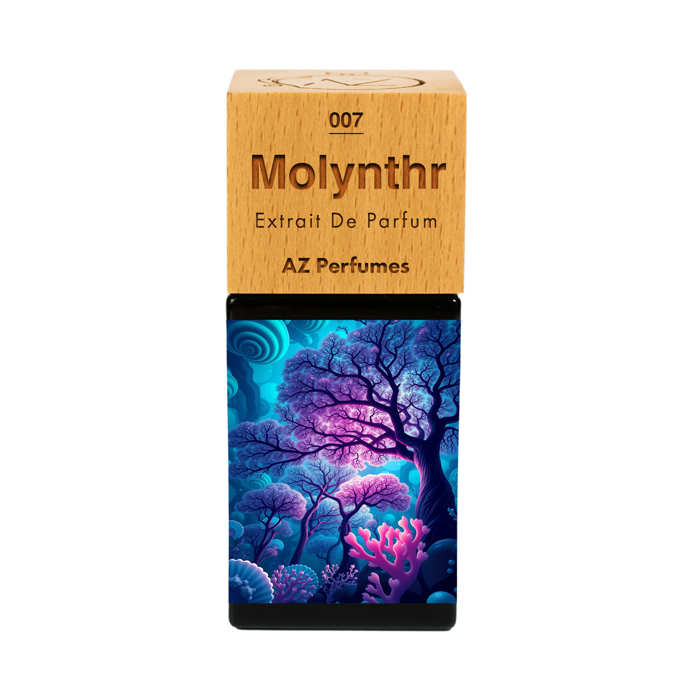 molynthra-n-07