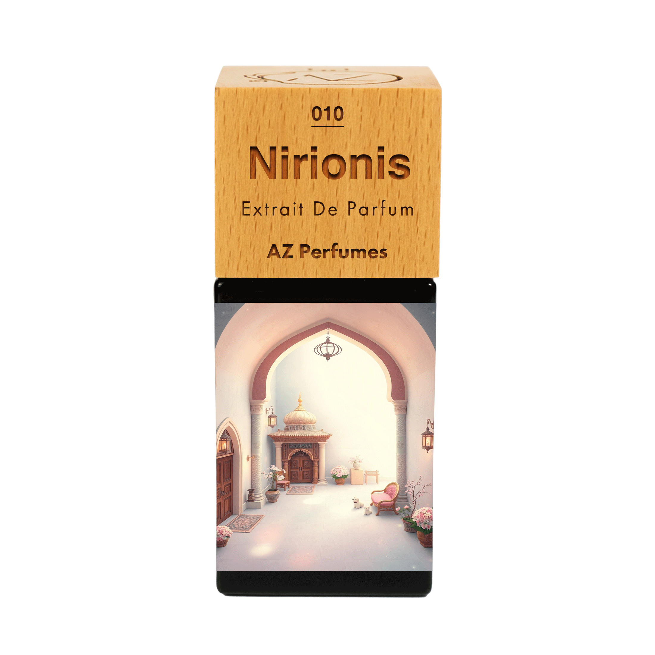 nirionis-n-10