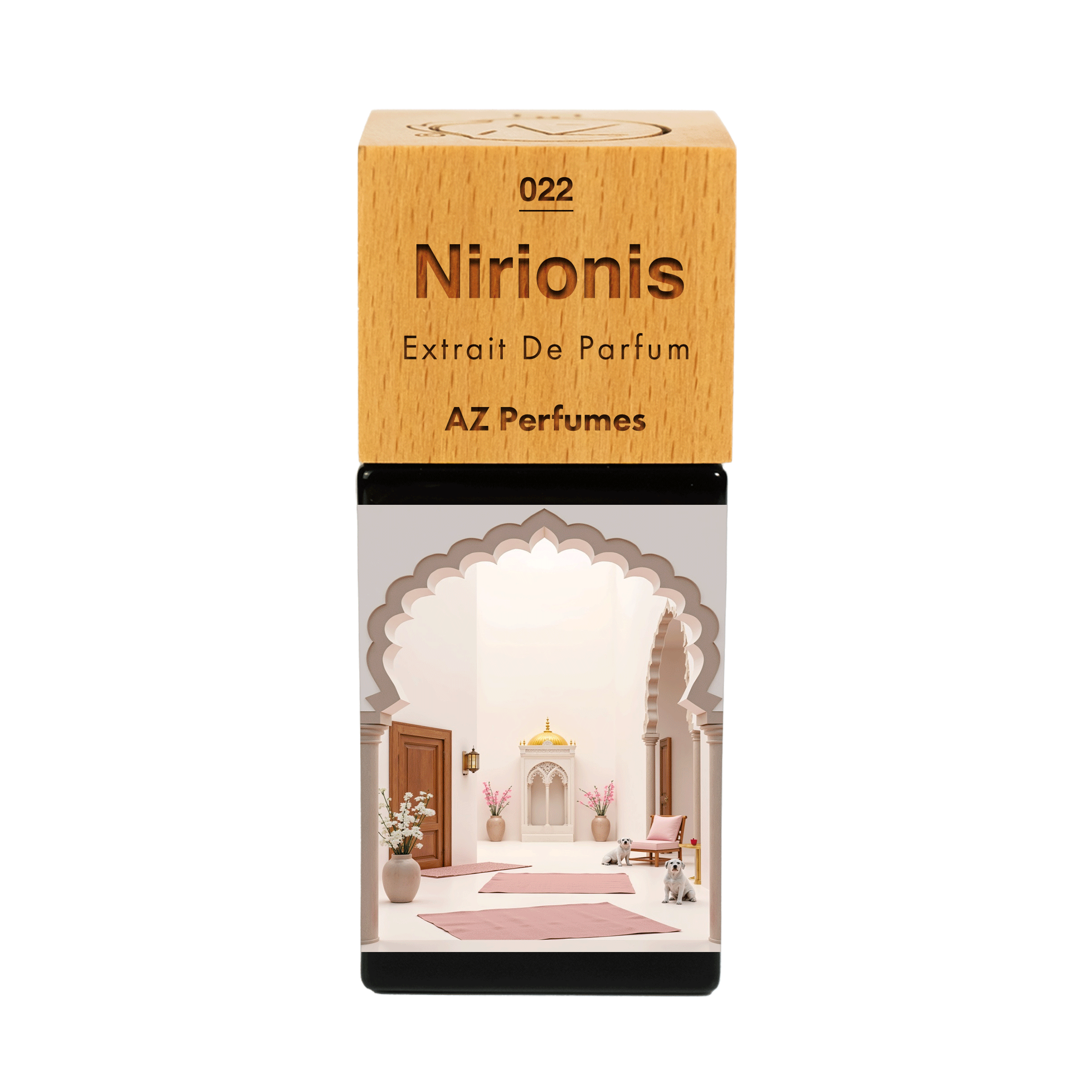 nirionis-n-22