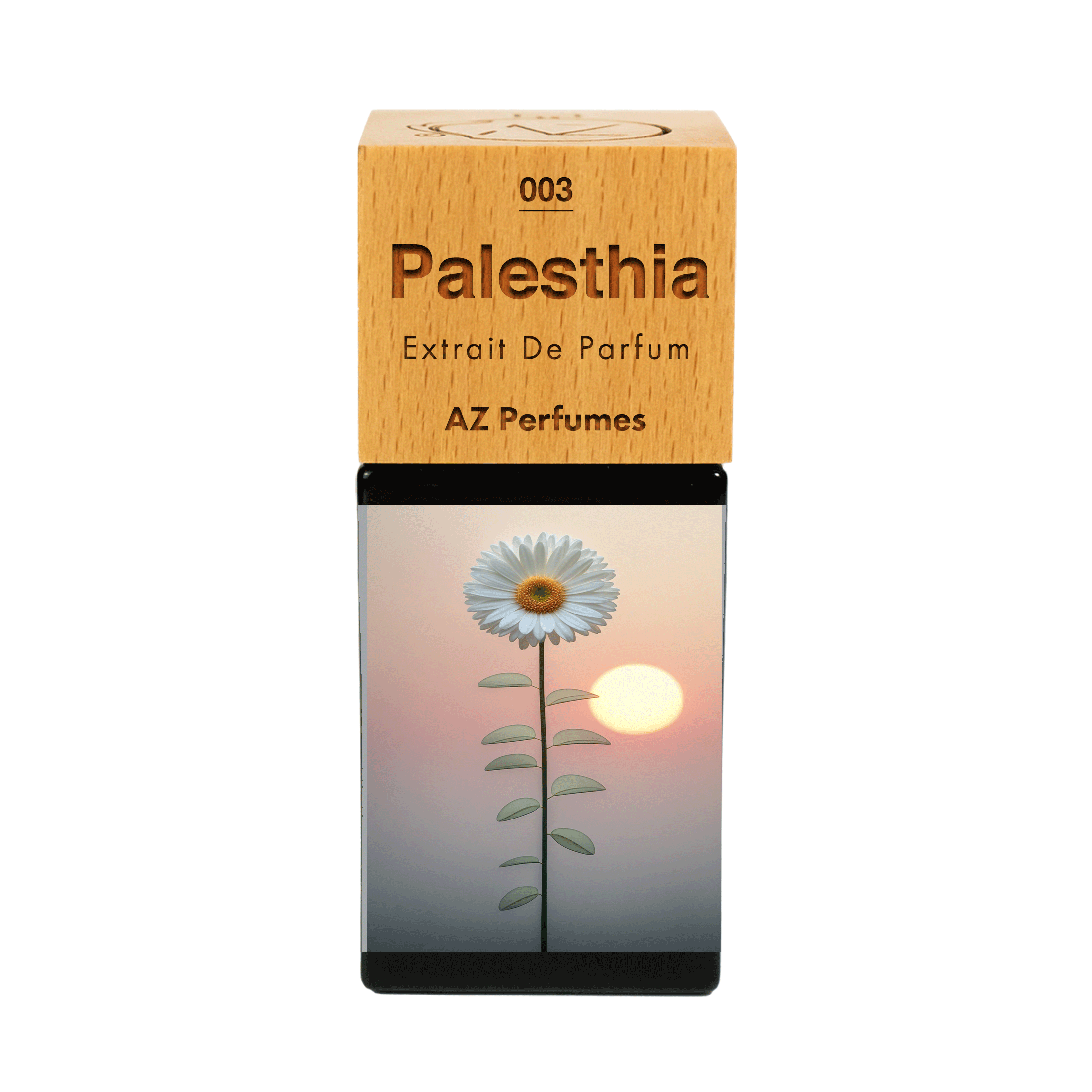 palesthia-n-03