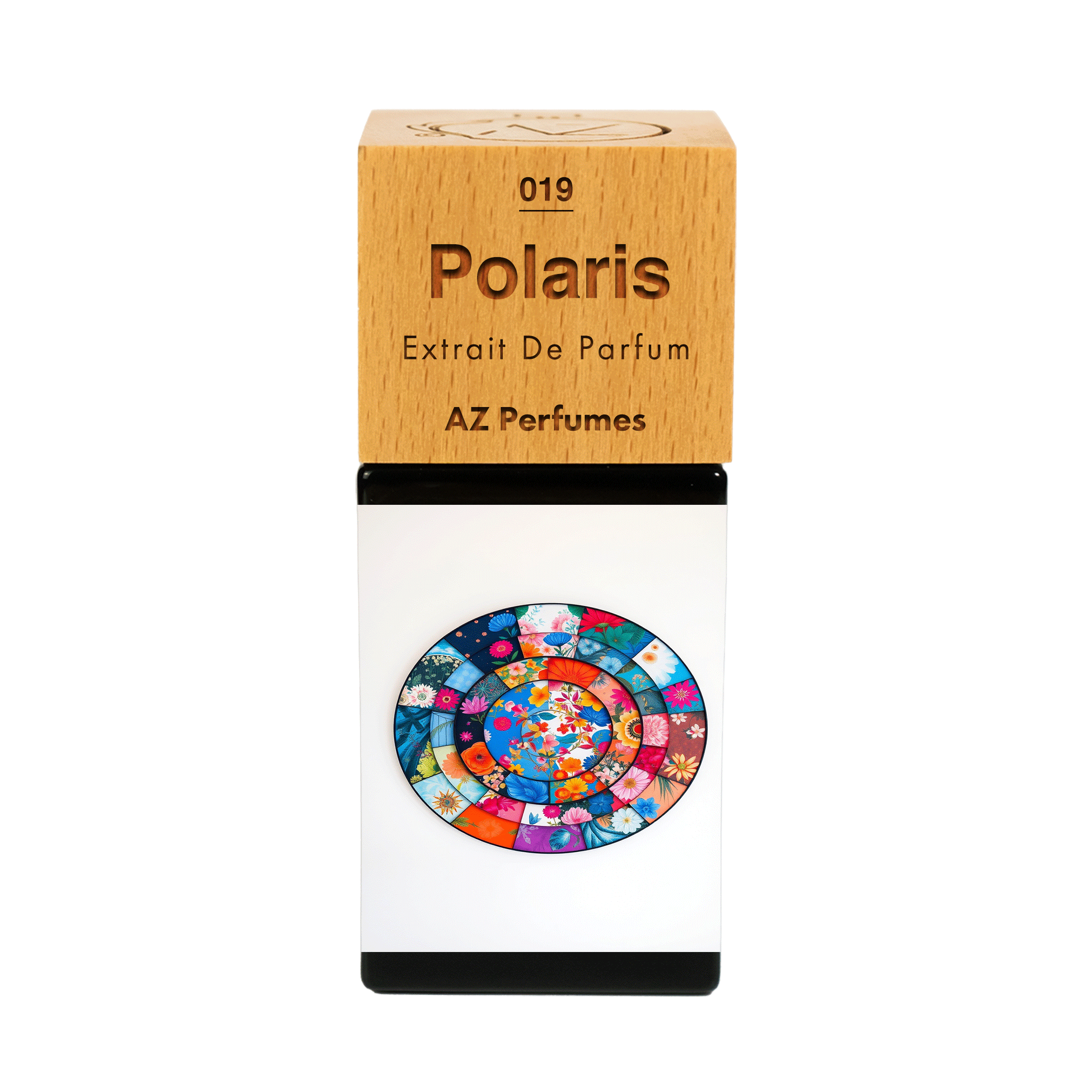 polaris-n-19