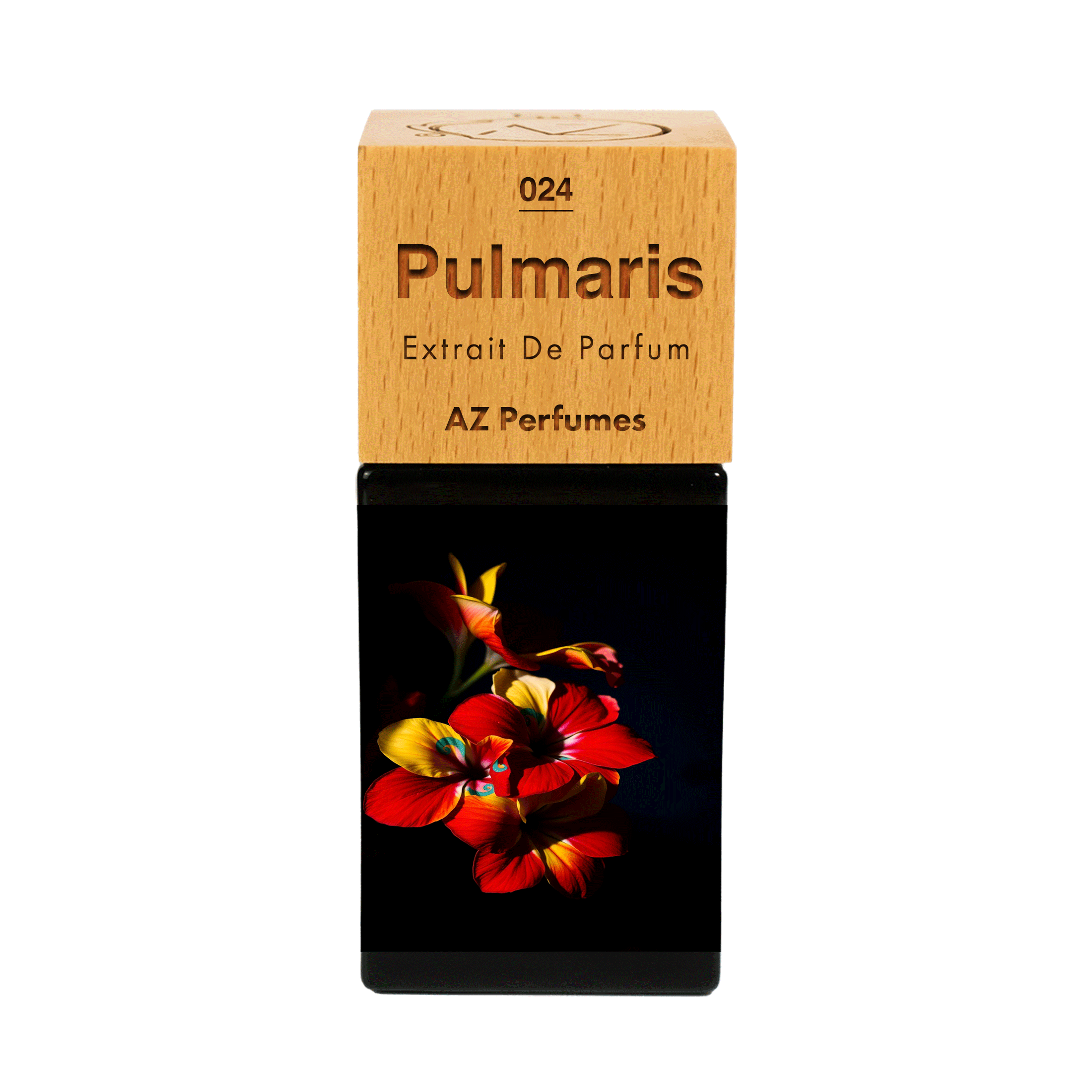 pulmaris-n-24