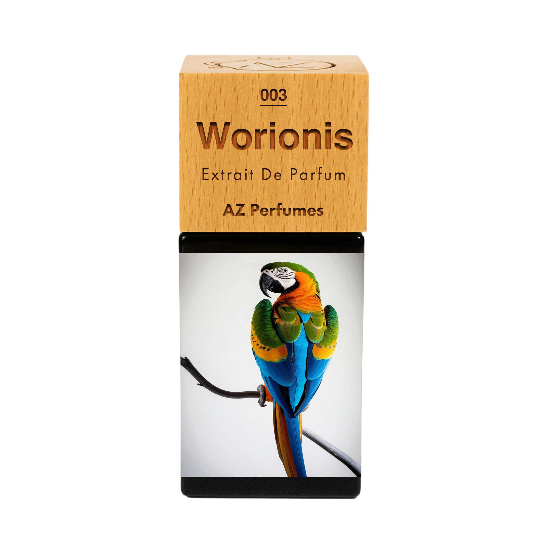 worionis-n-03